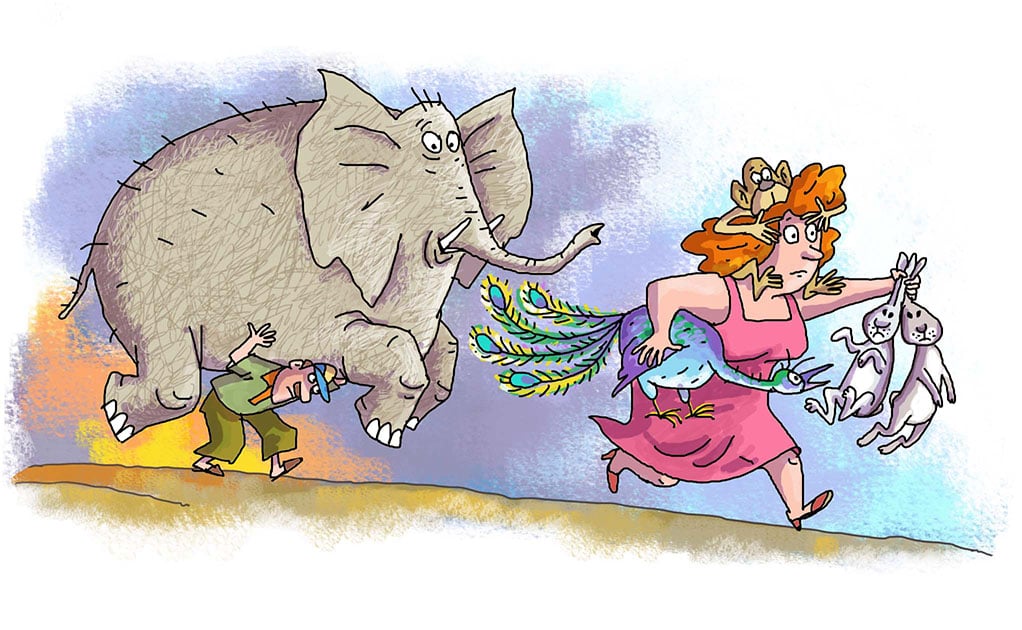 Nataliya Chernysheva books illustration